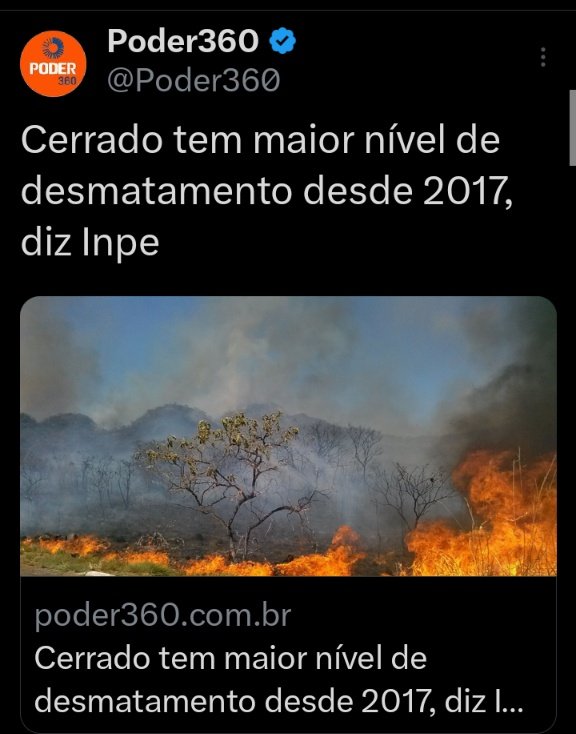 Marina Silva, a incompetente.