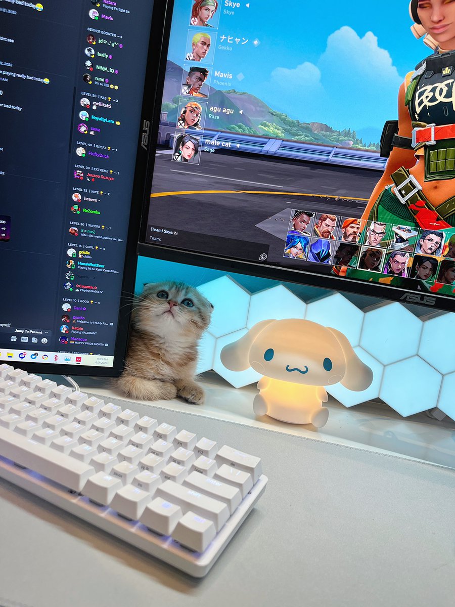 shryma's tweet photo. smol https://t.co/5UNWh8UJhv