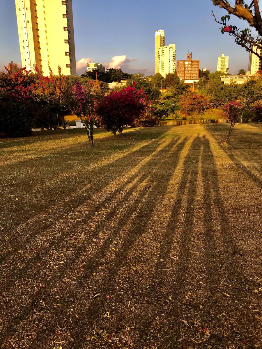 ValcicleiaF's tweet photo. @ousafadenha Por do Sol‼️☀️ https://t.co/YKxPz08QqG