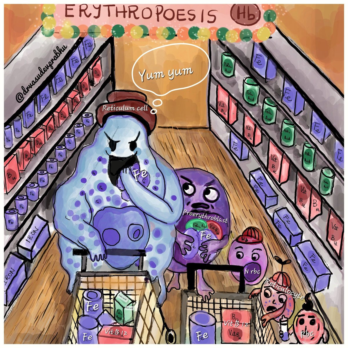 In a parallel cellular universe.. An erythron family shopping at a supermarket 🛒 for raw materials for erythropoiesis 🩸🧬😂 #cellcartoon #pathologydoodle #MedTwitter #PathTwitter #haematology #hemepath @smlungpathguy @kriyer68 @pepeheffernan @DrGeeONE @rdpatho @RagaviRamanan