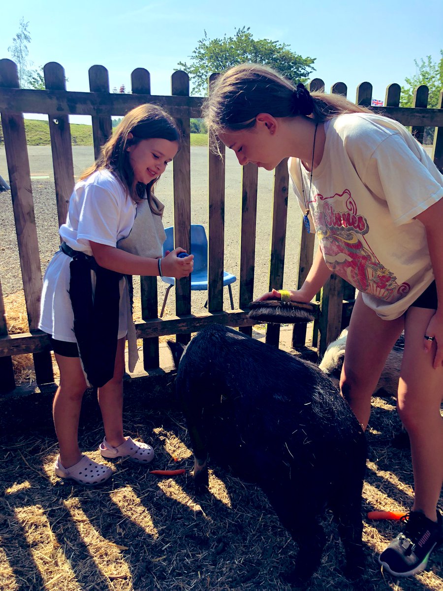 The Waterside Pigs tweet media