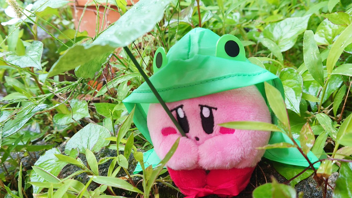 来週は晴れるかな☔🐸ｹﾛﾎﾟﾖ…  #カービィ #ぬい撮り