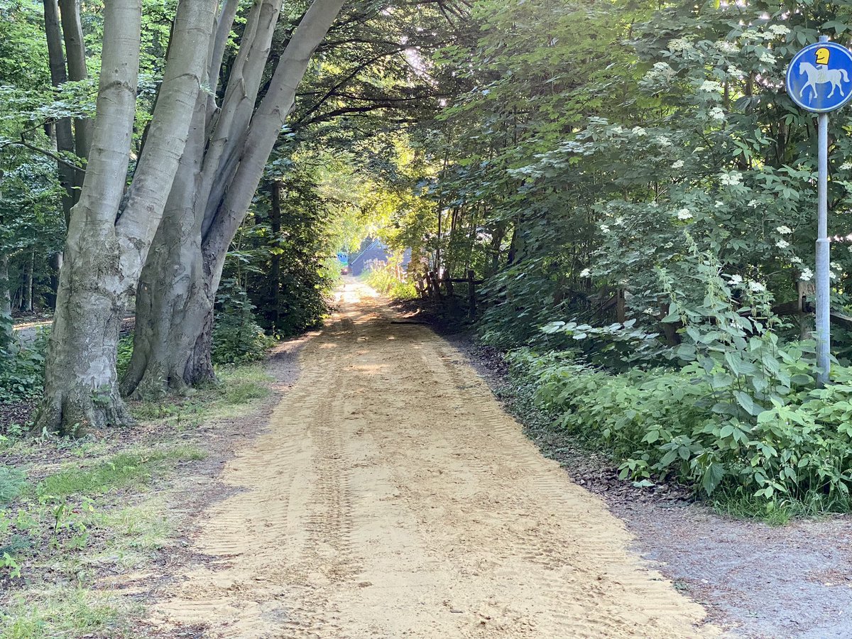 RM1837's tweet photo. Met dank aan @Stadsbeheer010 Gemeentewerf Kralingen Crooswijk zijn de ruiterpaden in het Kralingse Bos weer keurig! https://t.co/HV58pRe4dc