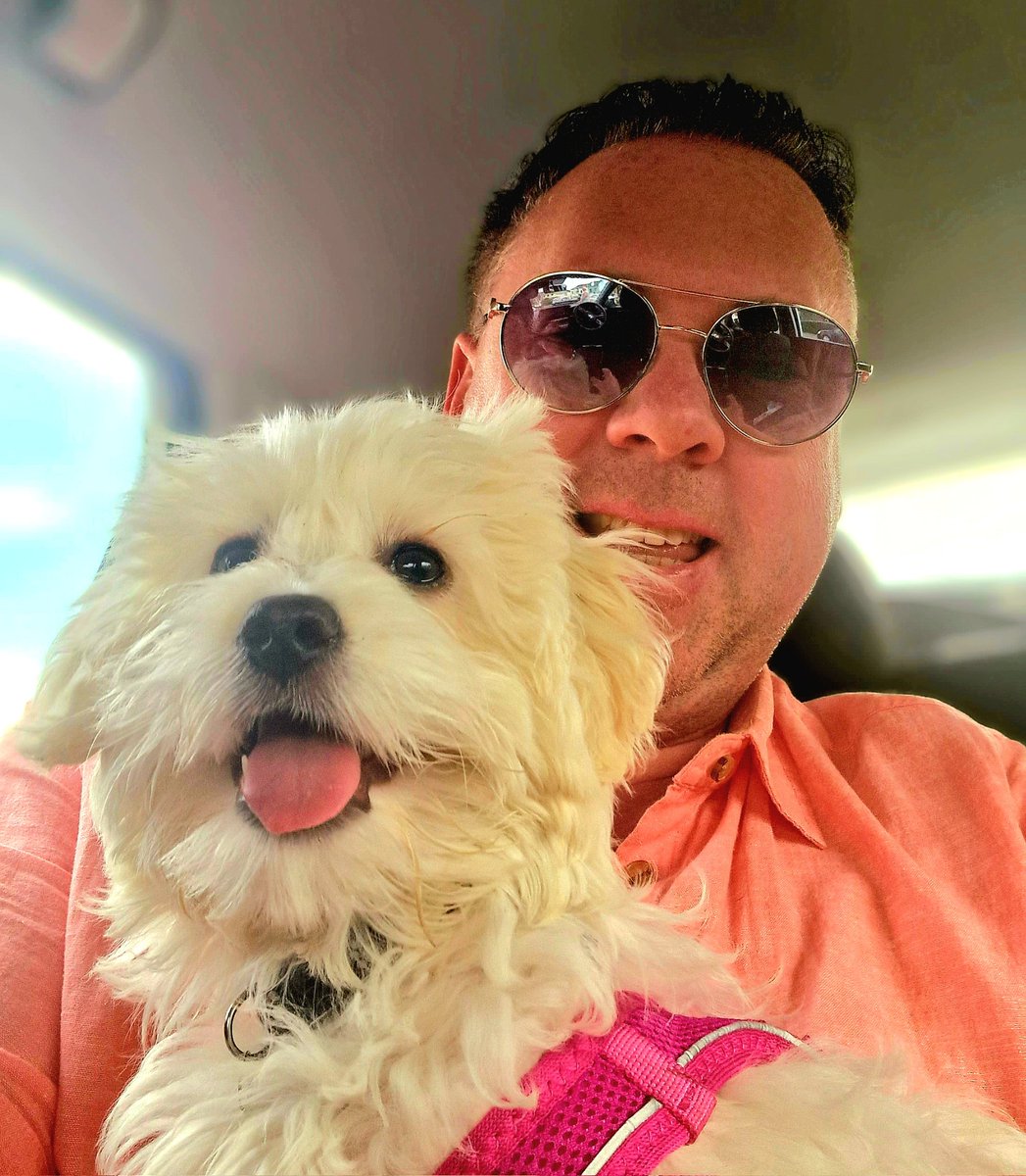 🤳 Saturday Selfie with Mia 

#saturdayselfie #saturdayselfie📸 #cavapoopuppy #cavapoo #cavapooworld #puppiesofinstagram #puppies