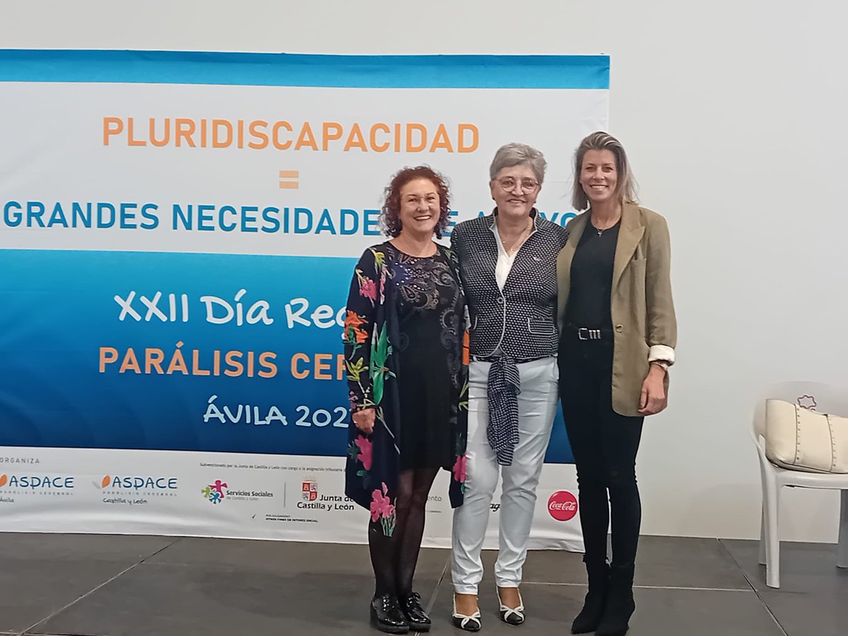 PSOE Ayuntamiento de Ávila tweet media
