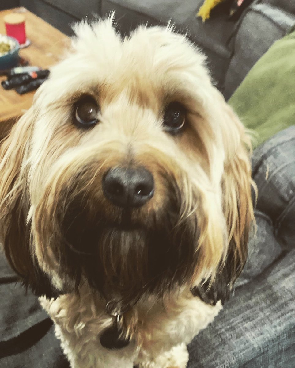 Porters Creek Public School tweet media