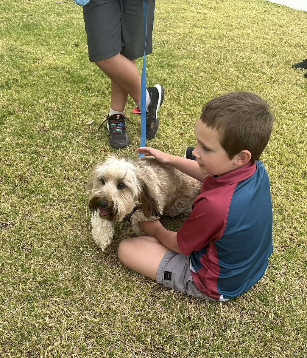 Porters Creek Public School tweet media