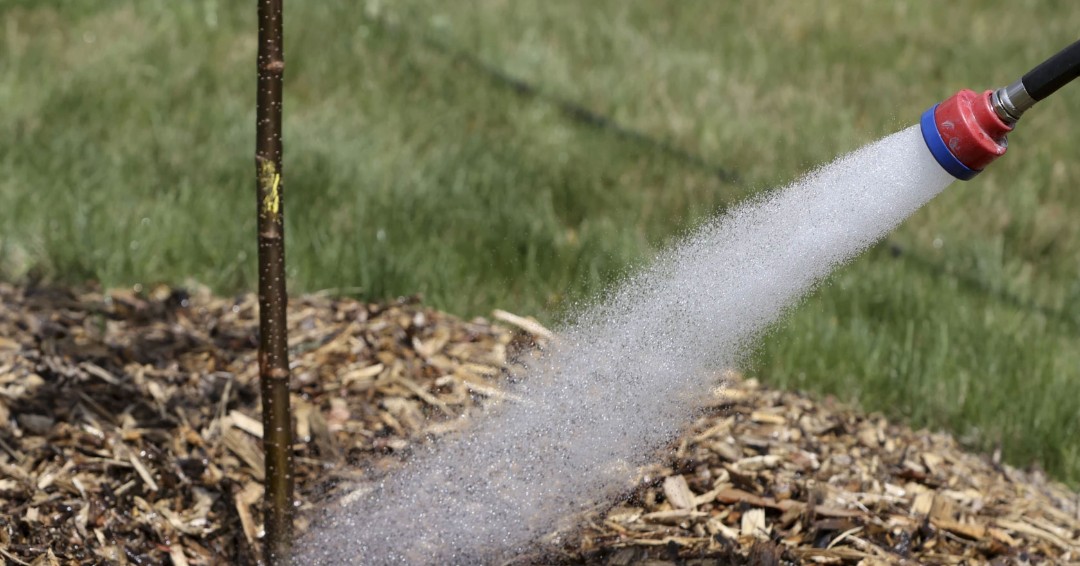 ClarkesGC's tweet photo. If you have a spot in your yard to plant a tree, make sure to plant a tree.  They are fantastic for the environment and given time, will shade your house as well, saving on your energy bills.   This article provides some insight.   https://t.co/92pCRxe5jN https://t.co/HxYgWb48Bs