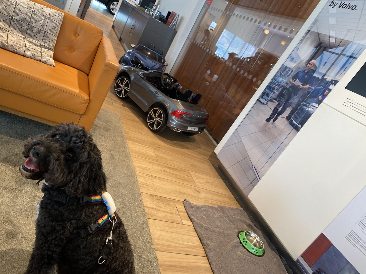 Always the best experience <a href="/RayChapmanVolvo/">Ray Chapman Motors Volvo</a> in York, so we’ll looked after and incredibly helpful staff. Thank you for the bowls of water and gravy bones 🦴 👌🏼