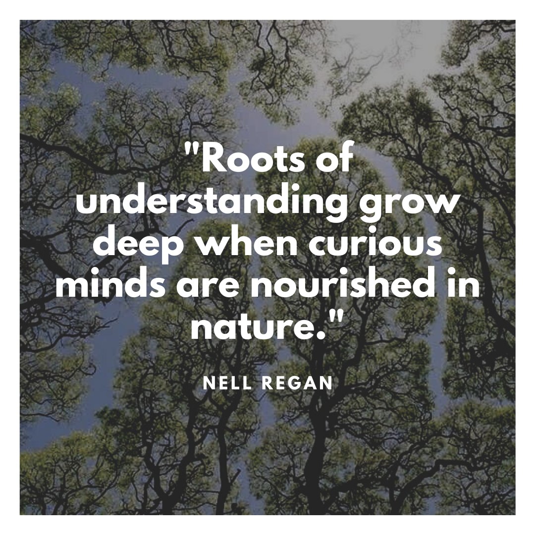 Time spent outdoors enjoying nature is time well spent!

#nature #natureplay #childhoodoutside #outdoorplay #outdoorlearning