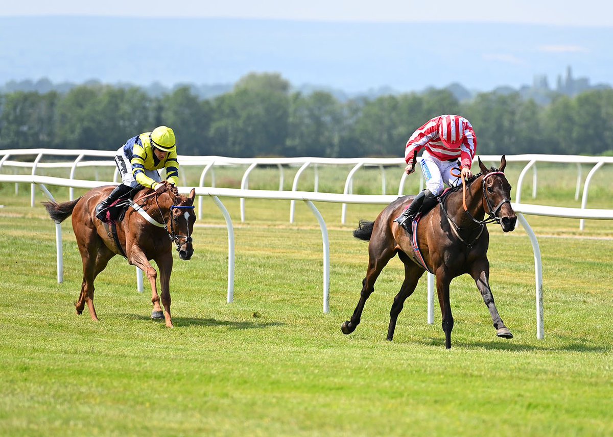 BangorRaces's tweet image. RACE 2 RESULT - THE TOTE.CO.UK BET £5 GET £20 &quot;NATIONAL HUNT&quot; MAIDEN HURDLE

🥇 Master Player 
🥈 Trick Of The Tail 
🥉 On Cloud Nine

Jockey: Sean Bowen @Sean_Bowen_ 
Trainer: John Joseph Hanlon @jhanlonracing 
Owner: Global Bird In The Hand Syndicate

📸 @offphoto…