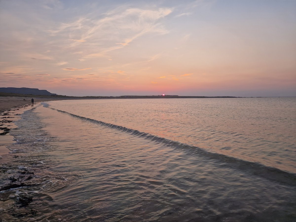 Elaine Kelly tweet media