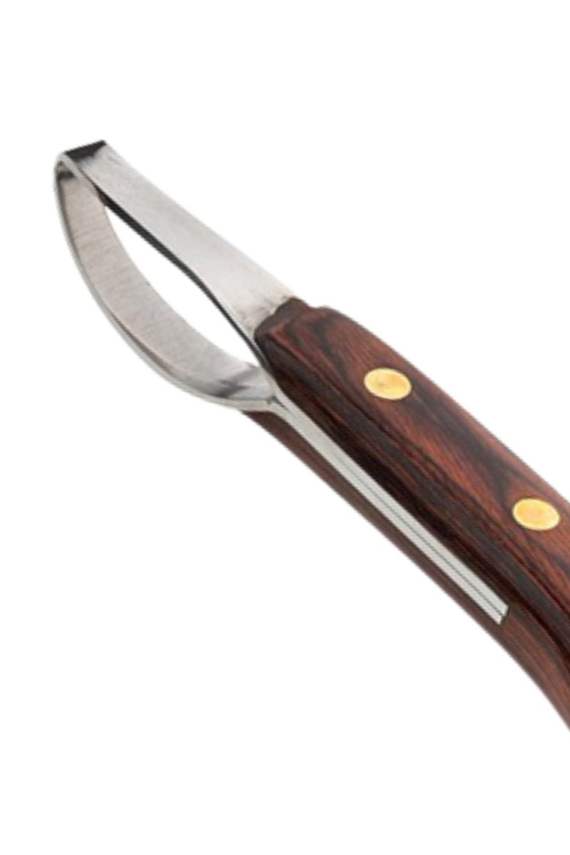 PREMIUM LOOP KNIFE ( 2 RIVET CONNECTION )
Manufacturers &amp; Wholesalers of All kinds of Farrier Tools 🐎 ☎️ / WhatsApp: +923331979993 Customized Logo Wholesale Prices 🚚 We Ship Worldwide 🌍 #horses #horsesofinstagram #horseshow #horsestagram #instahorses #horseshoe