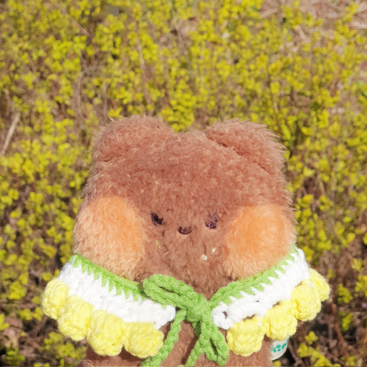 bearwool133's tweet photo. #NewProfilePic https://t.co/oUE7NhXcb7