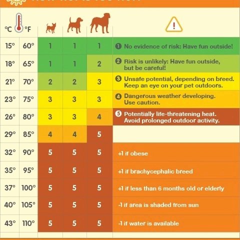 Yes we are repeating this tweet.
Yes we will continue to repeat this tweet all Summer ☀️ 
No dog ever died from missing a walk.
Dogs die in hot cars.
5 minutes is 5 minutes too long.
#dogs #dogsoftwitter #heatwave
#WeatherAlert #Hot #sunshine #SaturdayMorning