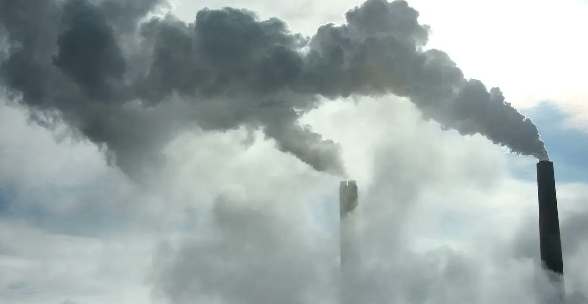 Carbon Brief tweet media