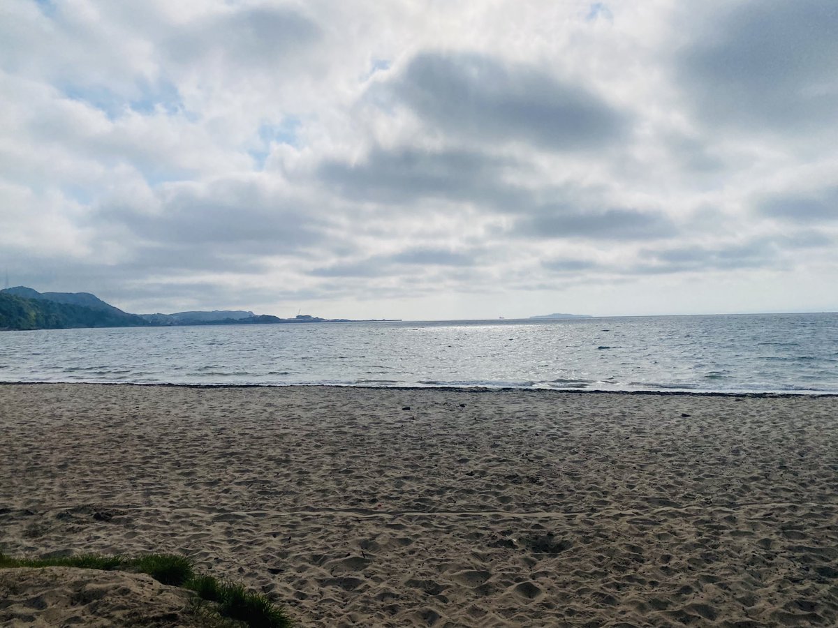 KimWalker13 tweet media