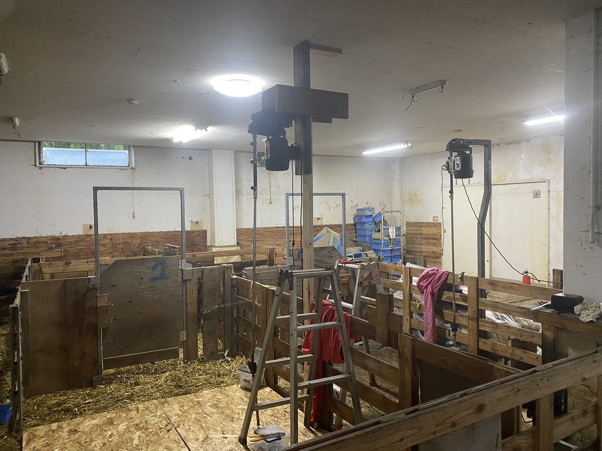 boyafarm's tweet photo. 毛刈り場を増設。2人で一��に刈って行く予定です。約400頭。 https://t.co/BMdyMuNB0n