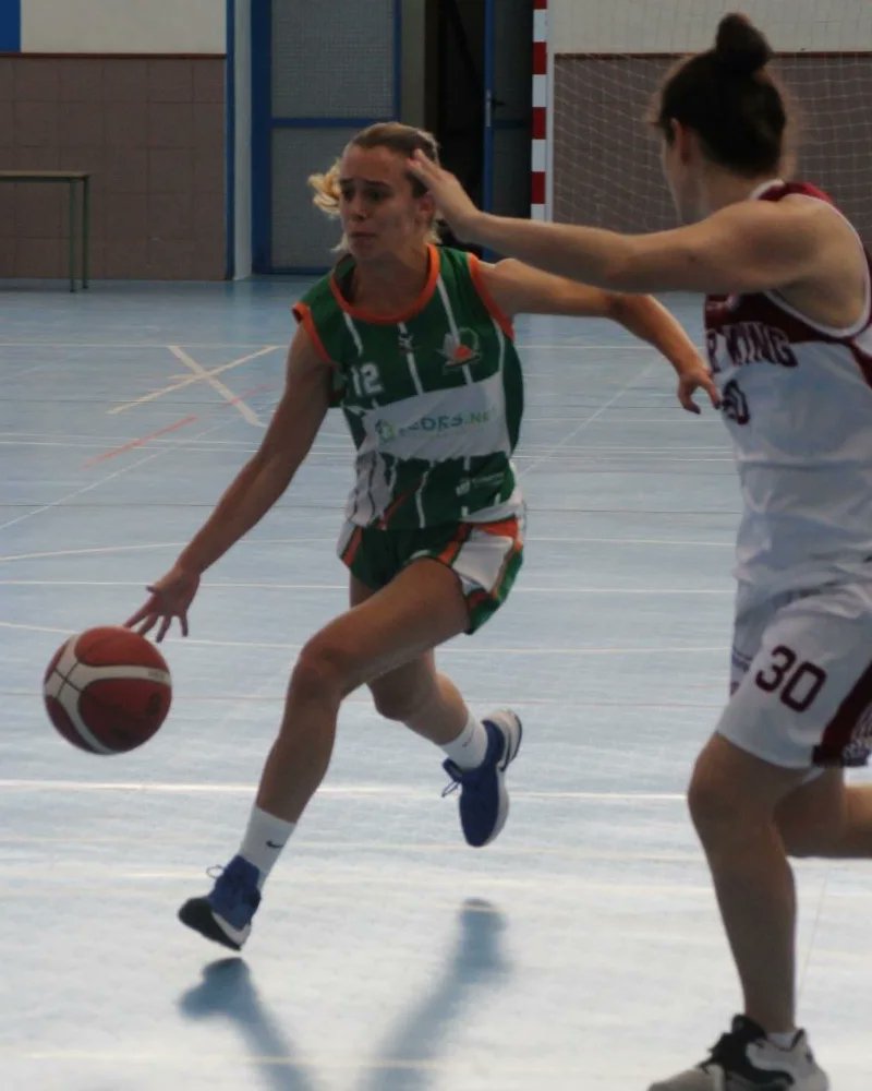Federación Canaria de Baloncesto tweet media