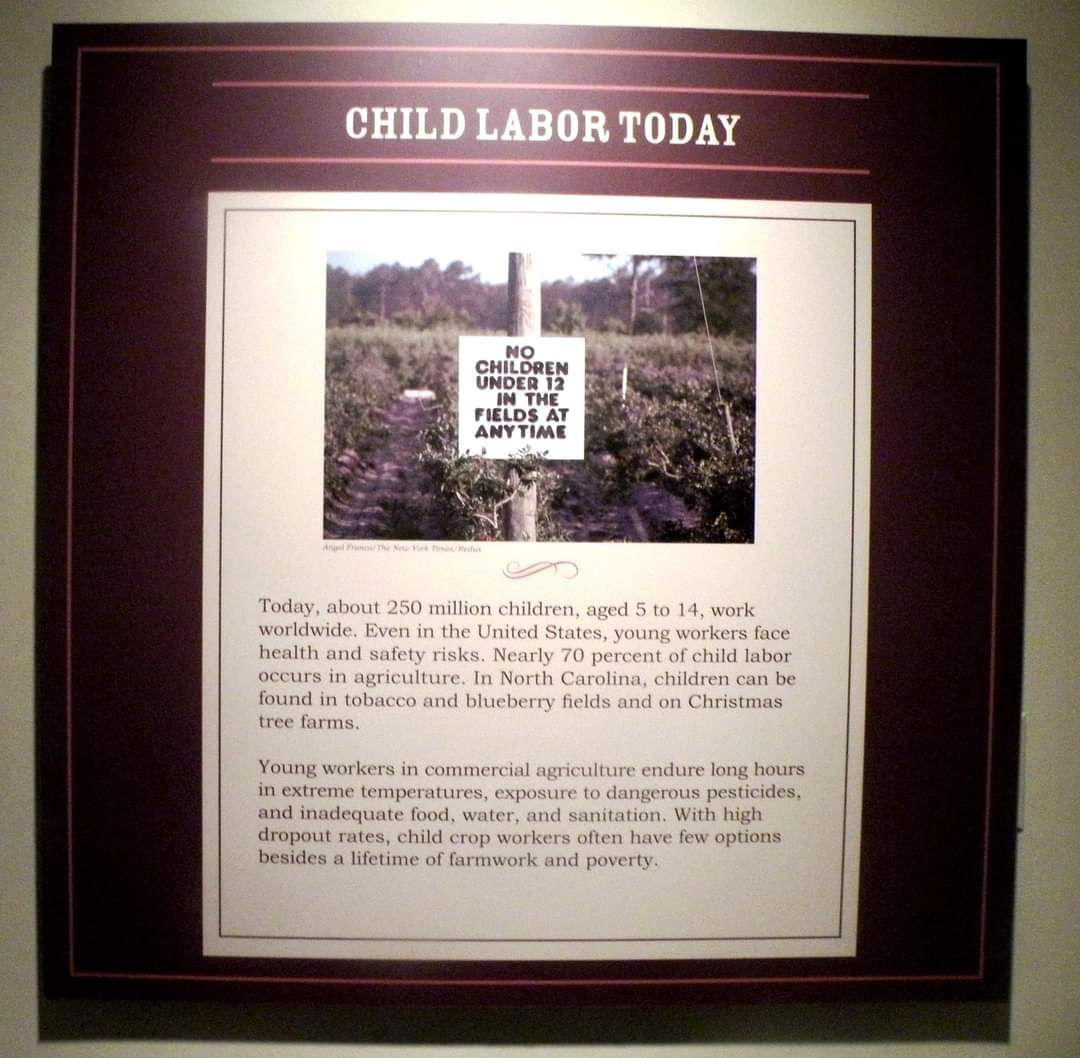 nc_field's tweet photo. @AFLCIO @LPNational  Why not say it like it is? You want brown and black children to feed you. You could care less about what they learn or if they survive the onslaught of chemical exposure, extreme heat, injuries. 23 years doing this work and we've NEVER seen a crew of white kids. https://t.co/4ce5YfVubi