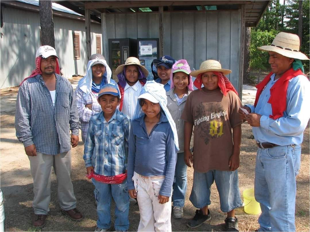 nc_field's tweet photo. @AFLCIO @LPNational  Why not say it like it is? You want brown and black children to feed you. You could care less about what they learn or if they survive the onslaught of chemical exposure, extreme heat, injuries. 23 years doing this work and we've NEVER seen a crew of white kids. https://t.co/4ce5YfVubi