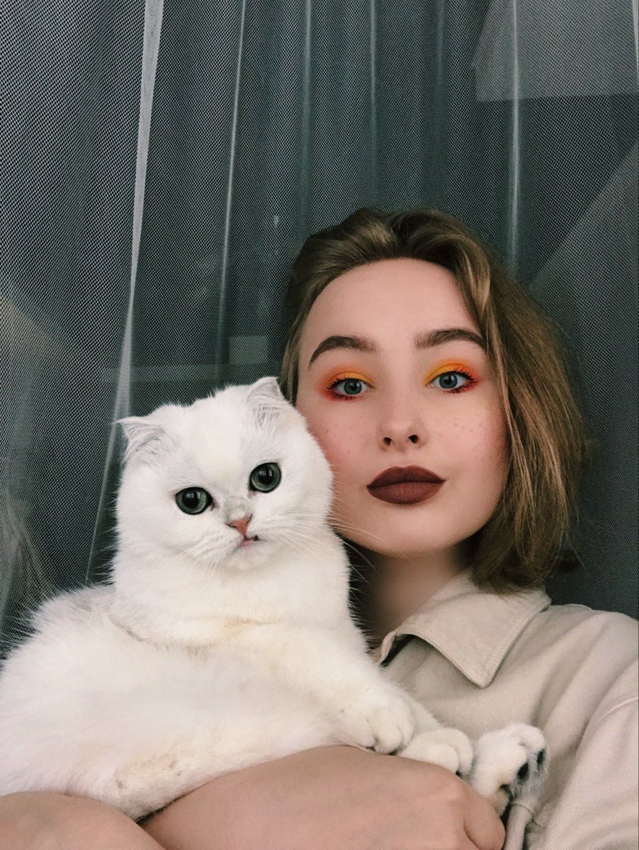 pup1dunka's tweet photo. @cat_auras This is my baby boy 🐣 https://t.co/srQwEuIarP