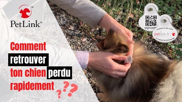 La_titi_de_pom's tweet photo. BIENVENUE dans notre woofy univers 🐾
100% SPITZ ALLEMAND NAIN 🦁
🌸 ASTUCES ET CONSEILS SPÉCIALISÉS DE LA RACE 🌸
Thème de la vidéo : 🏡 L’adoption
https://t.co/BLu9FTe14E
#pomeranian #SPITZ #spitznain #pomeranians #chien #dog #animaux #chienmignon #chienperdu #petlink https://t.co/31FwcGSuRC
