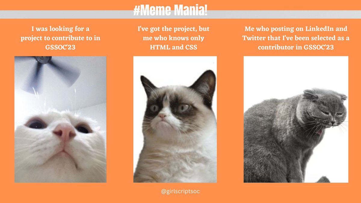 prempandey_28's tweet image. दुख, दर्द, पीड़ा 🥺😶
.. 
#mememania #girlscriptsoc #opensource #contribution