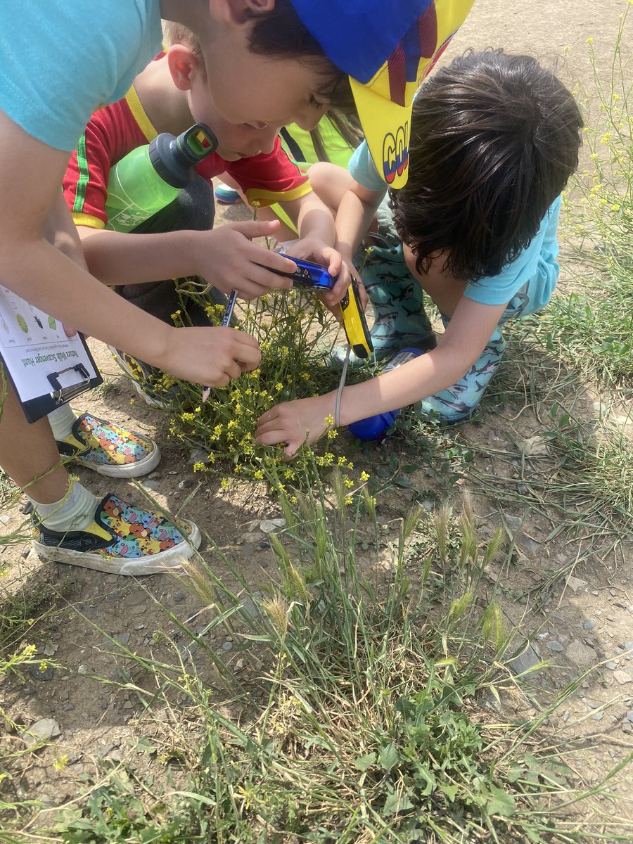 BIST Outdoor Learning tweet media