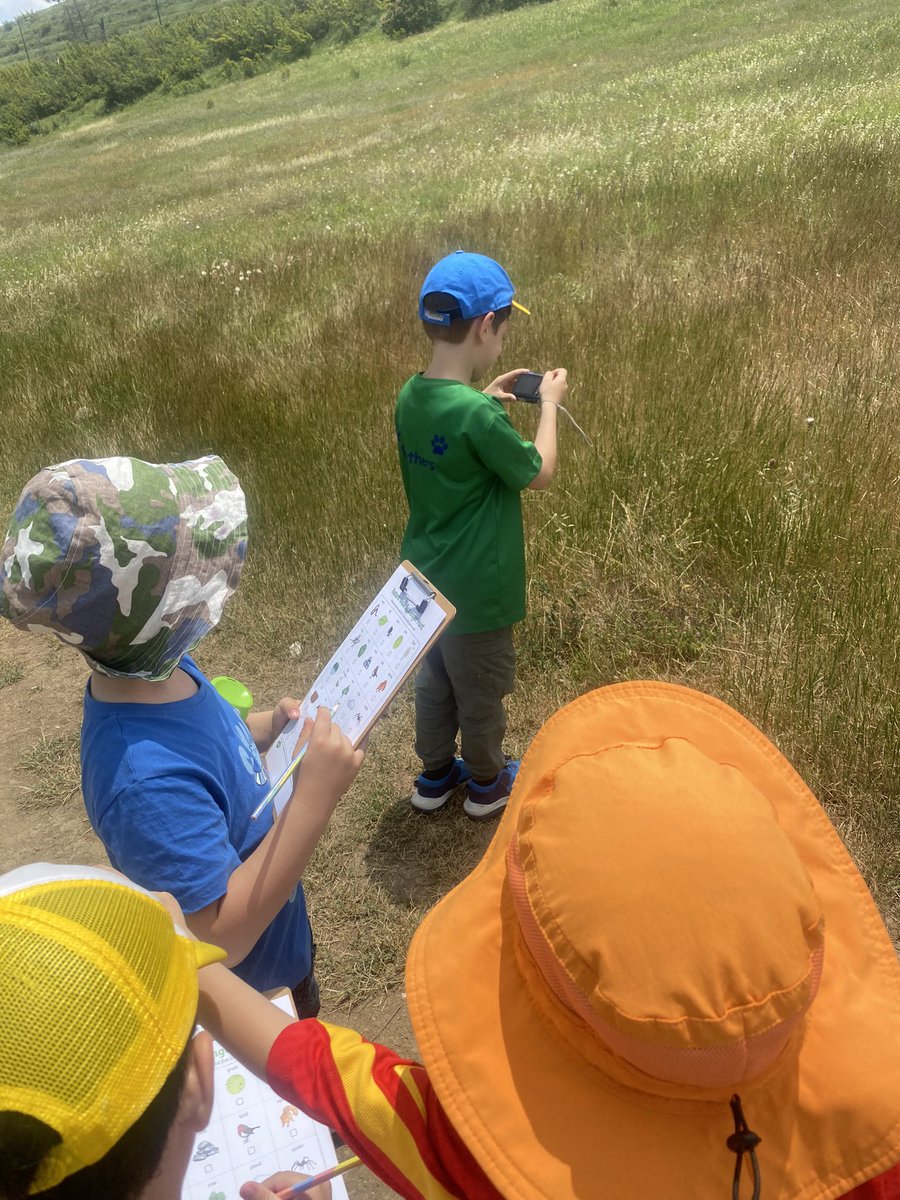 <a href="/BISTYear1J/">BIST Year 1J</a> went to the lake on Friday afternoon on a scavenger hunt. We searched for trees, branches, insects, spider webs and many more interesting things. #outdoorlearning #exploringnature