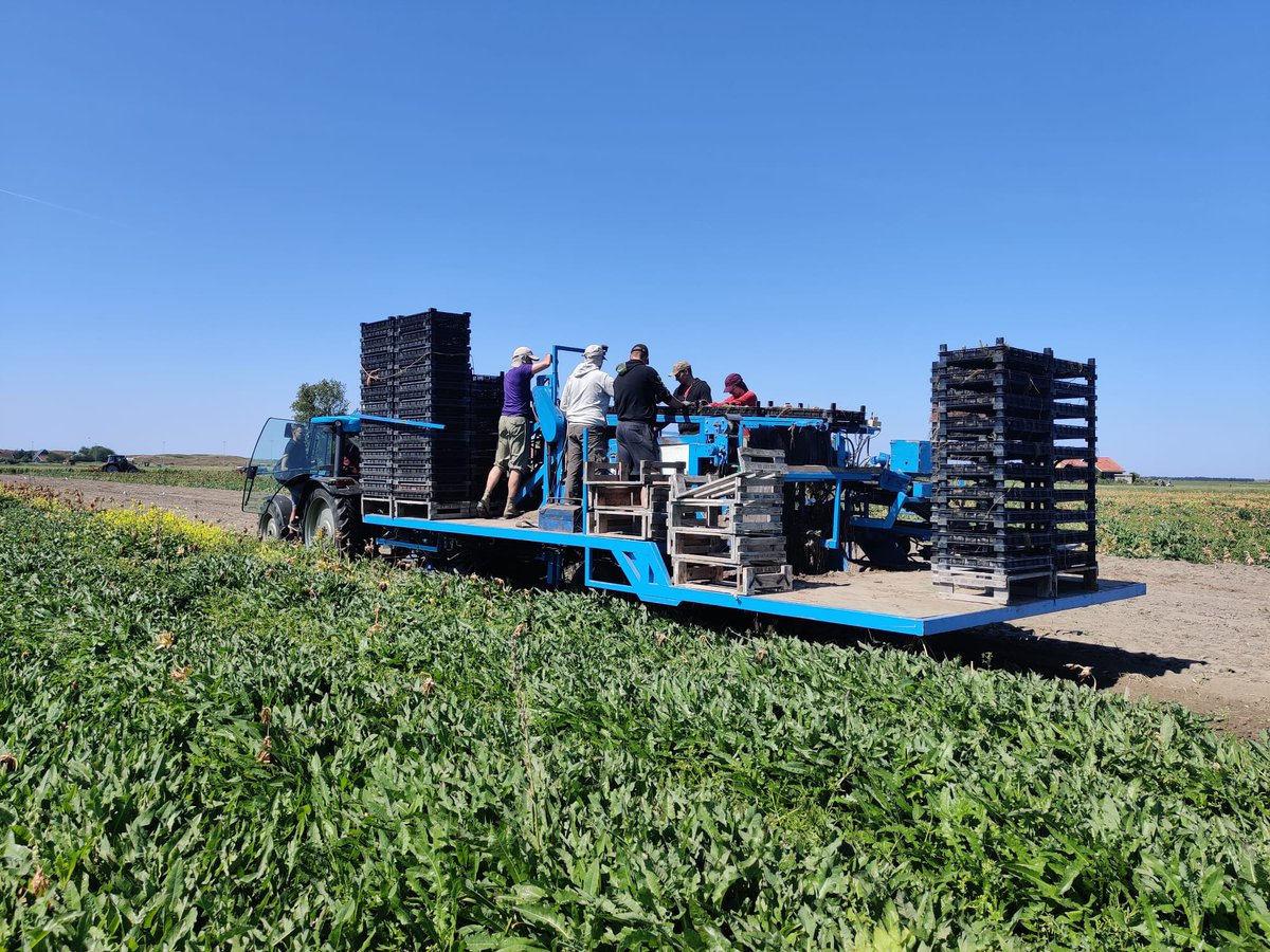 LandbouwMechanisatie tweet media