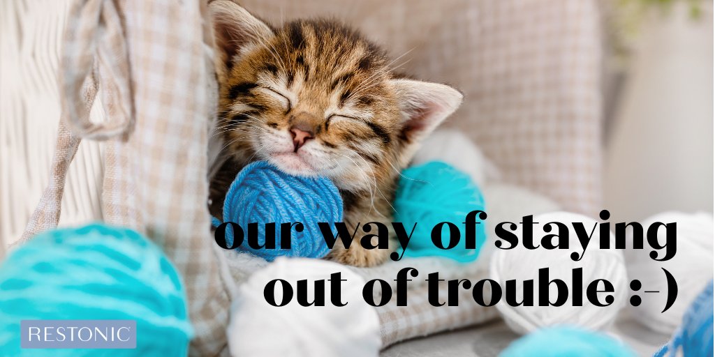 When the going gets tough, the tough take a nap.