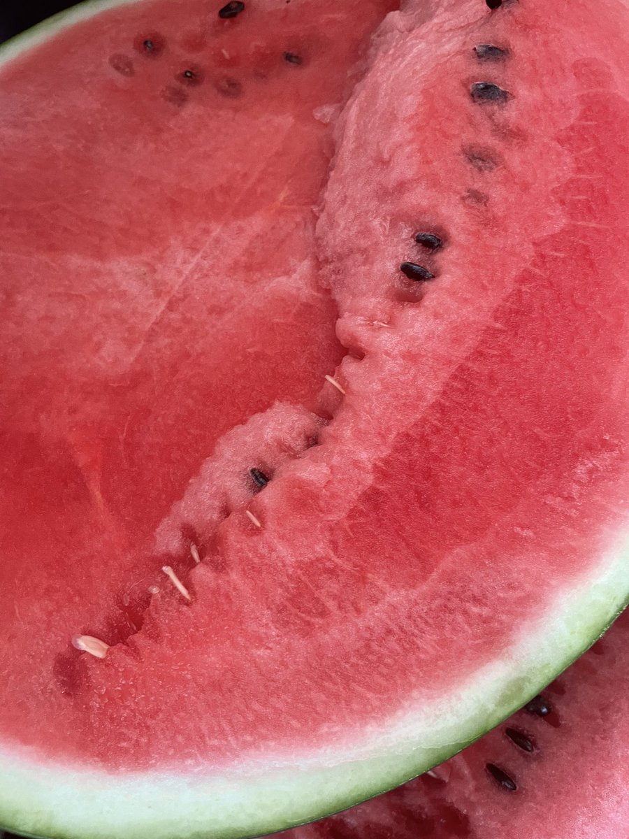 ご近所にスイカをお裾分けしにいったら、結局ケーキをいただいたり、リポDをもらったり、物々交換になった😂 https://t.co/d8Ao6FRO96