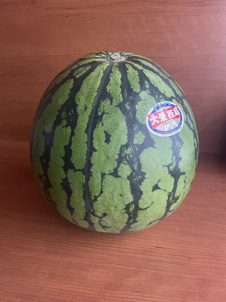 ご近所にスイカをお裾分けしにいったら、結局ケーキをいただいたり、リポDをもらったり、物々交換になった😂 https://t.co/d8Ao6FRO96