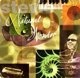 @ThatEricAlper Stevie Wonder - Natural Wonder - Live Album