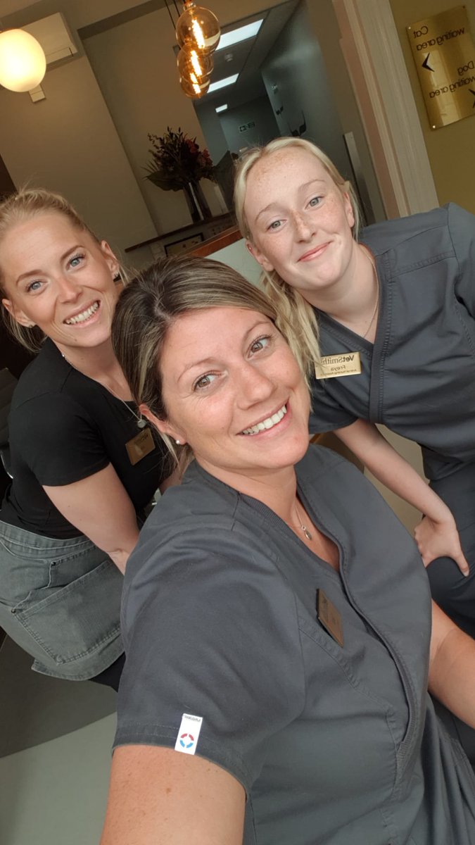 Team Vetsmiths this morning ... Lorna missing from pic as with a client 🐕
You guys 🫶🏽

#MoreThanJustVets #Wimborne