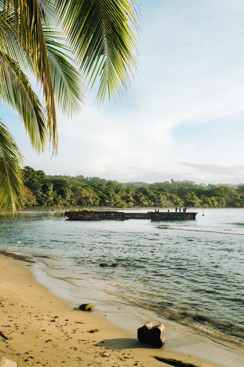 JJ_Brady1's tweet photo. Surreal scenes on Costa Rica’s Caribbean coast #travelphotography #streetphotography https://t.co/OHSy7e78CP