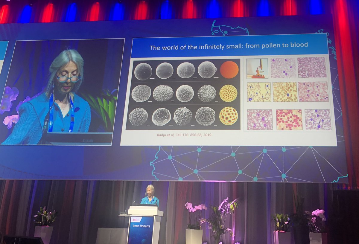 Amazing talk by Prof Irene Roberts and a totally deserved @EHA_Hematology JB lifetime achievement award. She has been an amazing force and mentor in neonatal and childhood haematology #EHA2023