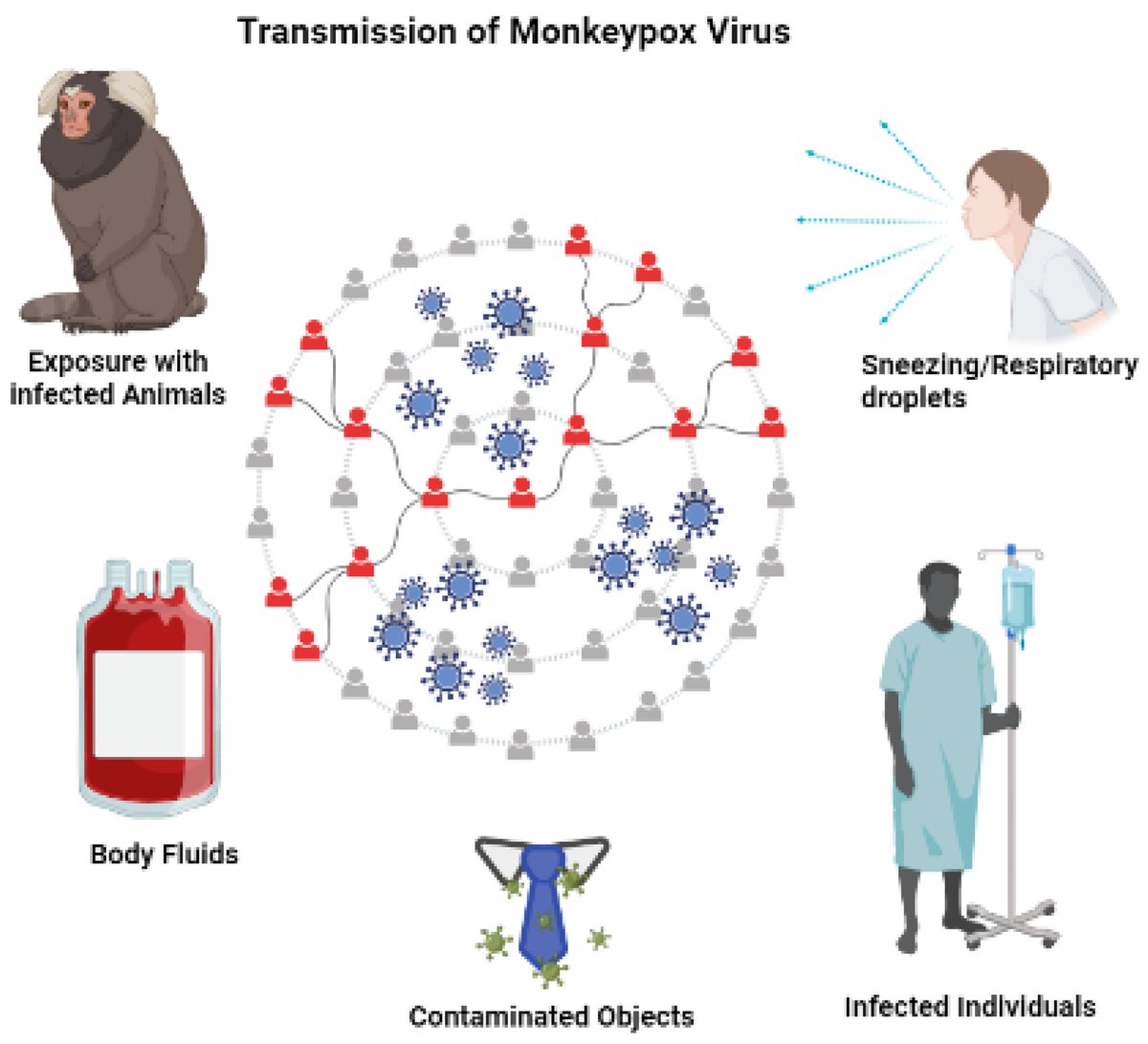 Monkeypox can be gotten by eating any animal that had been infected with the virus. Doctors warn that we should avoid eating dead animals and cover food properly so that infected rodents do not get in contact with. 
#PNPLZERvsMpox 
@whocmr
@MinsanteCMR
@CmrZoonoses  
@BloggersCM
