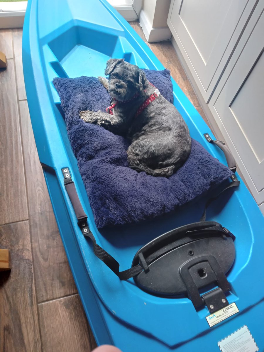 Thank you Welsh 🏴󠁧󠁢󠁷󠁬󠁳󠁿 volunteers :

Cardiff Rescue dog Pip, keeping the donated Kayak from Mel warm, ready for its onward journey to Kherson. Thank you to all volunteers are collecting and donating to support Ukrainians

Get what’s needed to where it’s needed with a donation towards
