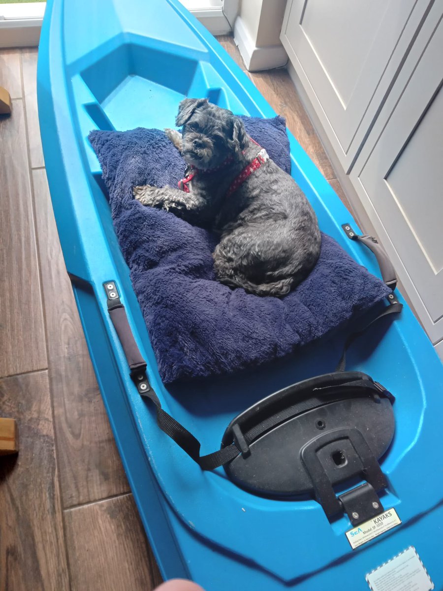 Thank you Welsh 🏴󠁧󠁢󠁷󠁬󠁳󠁿 volunteers : Cardiff Rescue dog Pip, keeping the donated Kayak from Mel warm, ready for its onward journey to Kherson. Thank you to all volunteers are collecting and donating to support Ukrainians Get what’s needed to where it’s needed with a donation towards