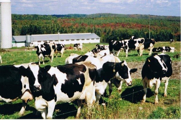 M. Wilson tweet media