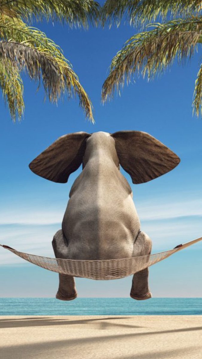 “What’s the point?”

“So what?”

Two questions you need to ask yourself before you start to plan - let alone write - any copy. 

#copywritingtips #copywriter