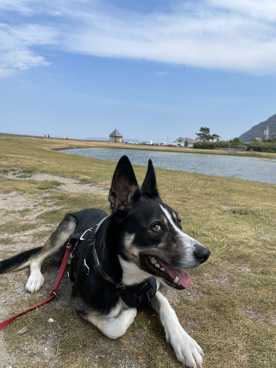 Paul Holroyd tweet media