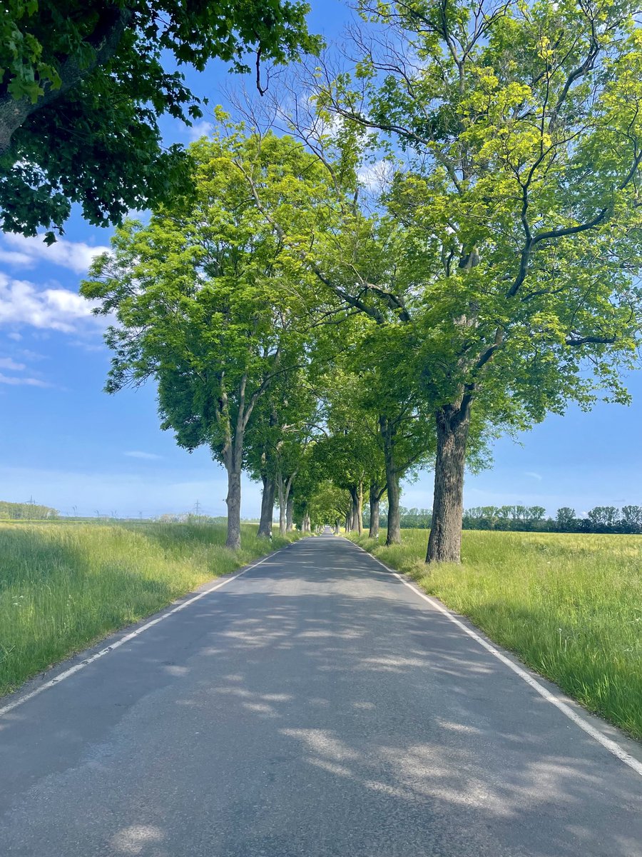 So, wall to wall blue skies. Yes. Please!!! Who’s got a ride planned? Anyone fancy our wonderful sportive Sat 24 June? Our lovely volunteers man the feed stations with HOMEMADE cakes and with a free burger and beer to finish, what’s not to like? samaritanscycle.com 💚