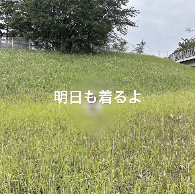石橋颯のTwitter画像8