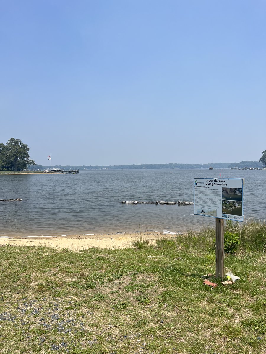 AAHealth_Water's tweet photo. Latest Recreational #WaterQuality Report for #AnneArundel County #HealthyBeaches. #ChesapeakeBay, #MagothyRiver, #PatapscoRiver, Rhode River, #SevernRiver, South River, West River, Stoney Creek, Weems Creek. https://t.co/QUJH4LWdDC https://t.co/n2S1kRUoho