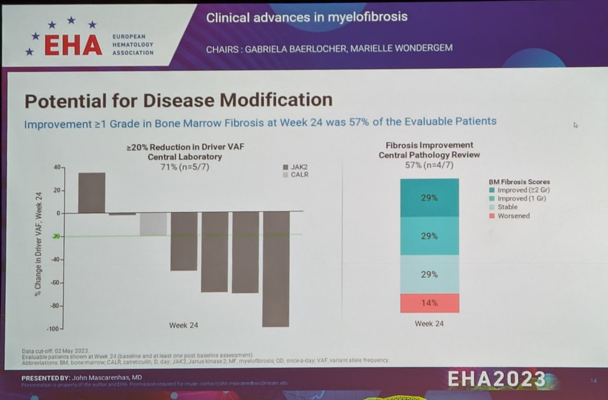 Fantastic presentation #JohnMascarenhas on update of #navtemadlin added to suboptimal responders to #ruxolitinib in #MF. #EHA23. Exciting data & can't wait for longer followup, including effect on marrow fibrosis changes 👏. Moving deeper in Myelofibrosis 👍
