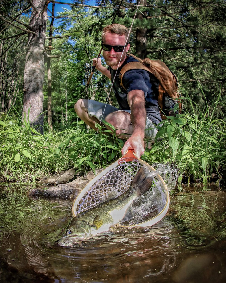 pafishandboat's tweet photo. Bass harvest season is open!

Pennsylvania has many places to fish for bass. Check the regulations and know the waters you're fishing: https://t.co/eONnqpQbha https://t.co/JcmW7ttjAi