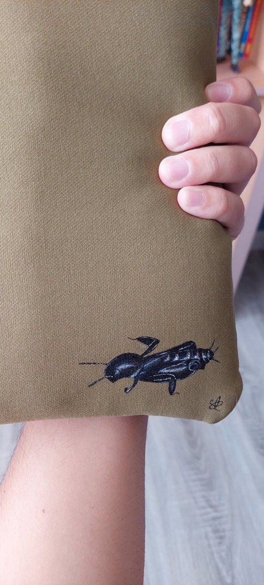 Complete set by my dear friend <a href="/amargaridarp/">margarida 🌱🖌🐾</a> 

- Philanthus triangulum (book marker)
- Eristalinus aeneus and Xya iberica (book sleeve)